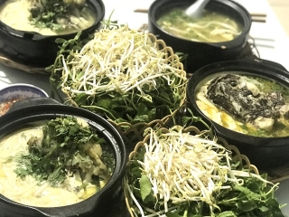 1 Tô Bánh Canh Cá Lóc Có Bao Nhiêu Calo | Rau Đắng Ăn Với Bánh Canh Cá Lóc Tốt Cho Sức Khỏe